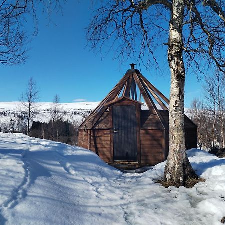 Hessdalen Ufocamp Apartment Varhus Ngoại thất bức ảnh